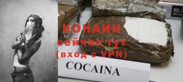 mdpv Елизово