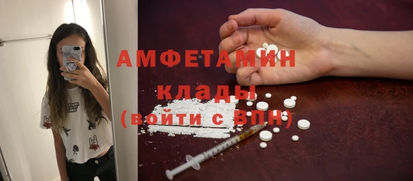 твердый Дмитров