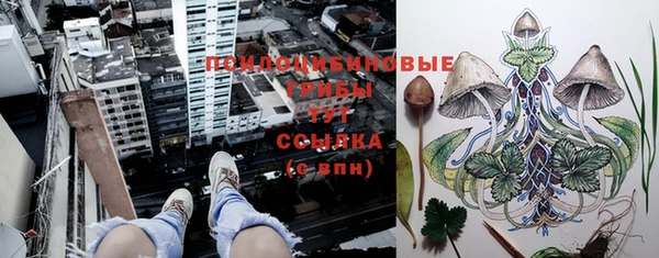 дурь Дмитриев