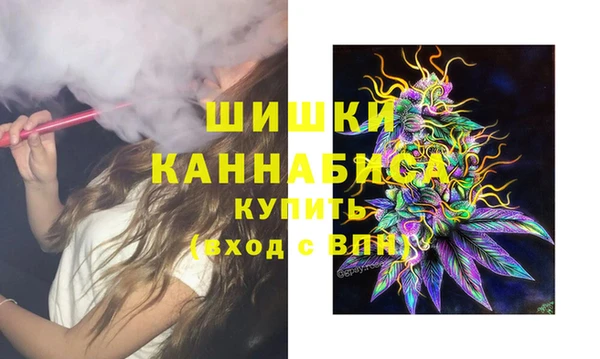 дурь Дмитриев