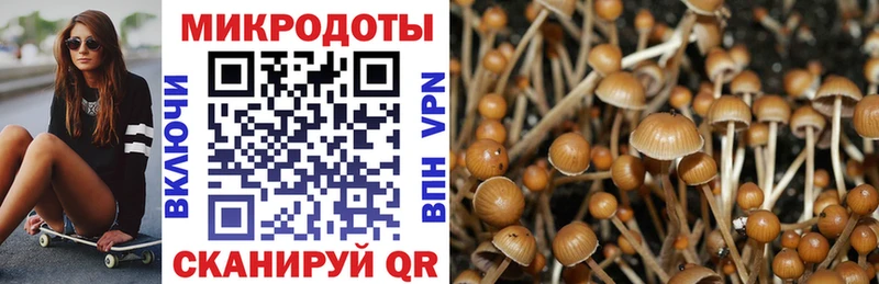 Псилоцибиновые грибы Psilocybe  Купить где  Кологрив 